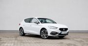 Test: Seat Leon 1.4 e-Hybrid (204 KM) - ta wersja przekonała mnie nie tylko ceną