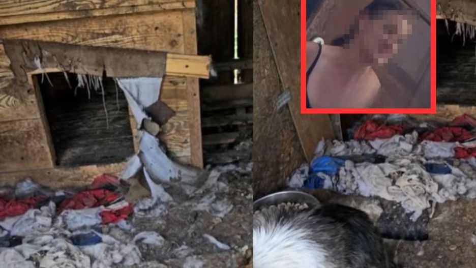 Aktywiści pokazali nagranie