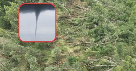Trąba powietrzna na Lubelszczyźnie. Zamknięto lasy do końca roku