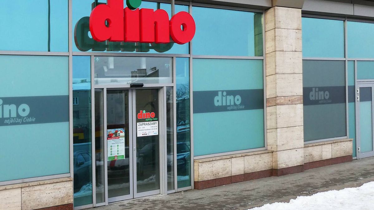 Dino oferuje przestrzeń do podnajmu