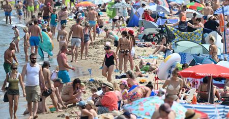 Dorsz do 250 zł, parking do 120 zł. Ceny nad Bałtykiem