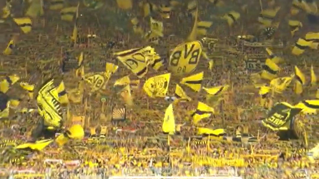 Fani Borussii Dortmund