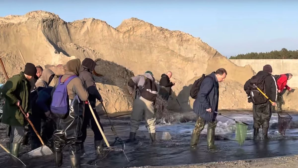Przekop Mierzei Wiślanej. Pojawili się łowcy bursztynu