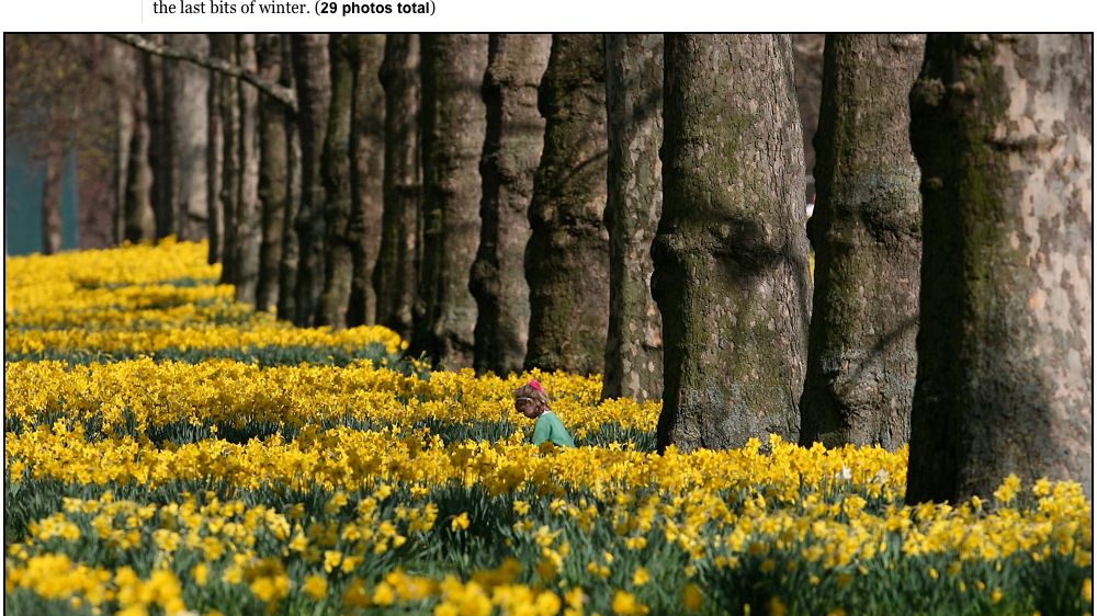 Pierwsze oznaki wiosny okiem The Big Picture 1
