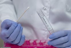 Koronawirus. Coraz więcej zakażeń. Mazowsze na drugim miejscu