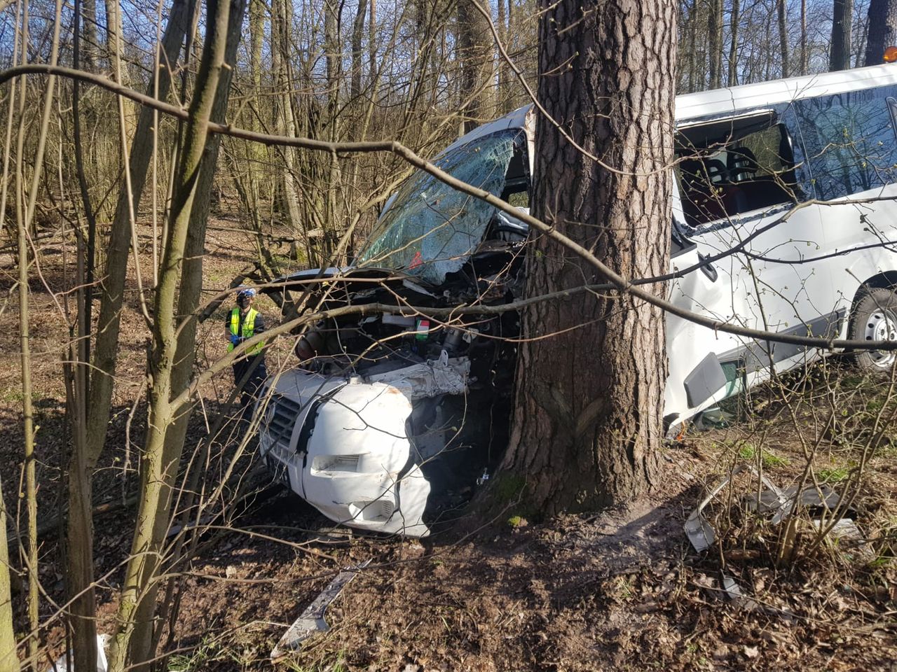 Wypadek w Strzeleckim Gaju koło Chodzieży