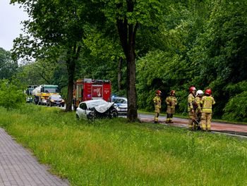 Piła-Dolaszewo: Renault uderzyło w drzewo. Kierowca trafił do szpitala