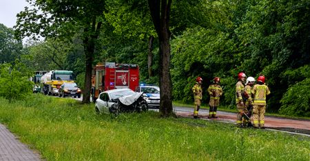 Piła-Dolaszewo: Renault uderzyło w drzewo. Kierowca trafił do szpitala