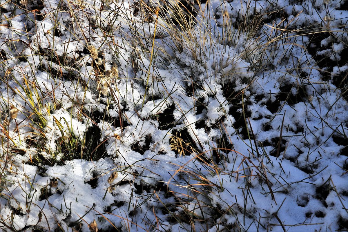 Pogoda. Coraz większa szansa na śnieg