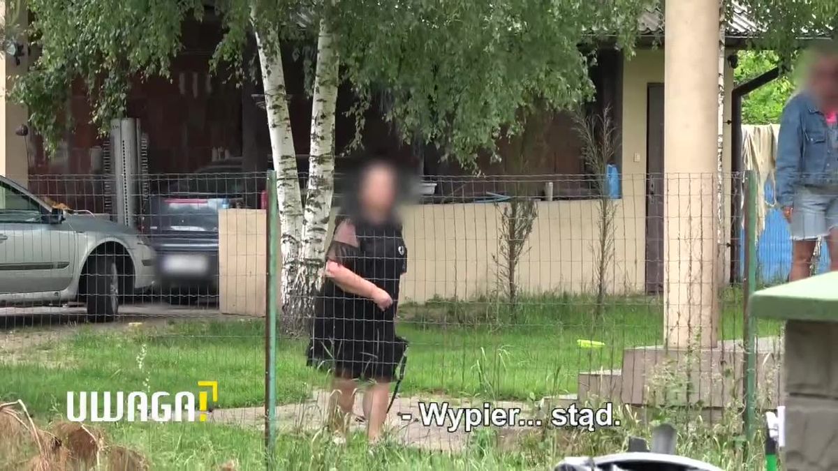 zdjęcie