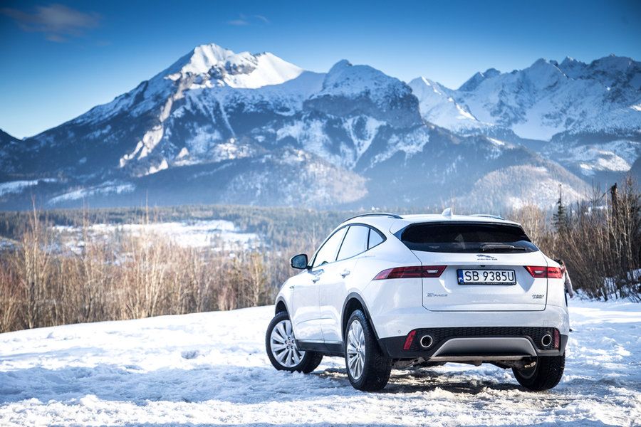 E-Pace to najpopularniejszy model Jaguara w Polsce (fot. Mateusz Żuchowski)