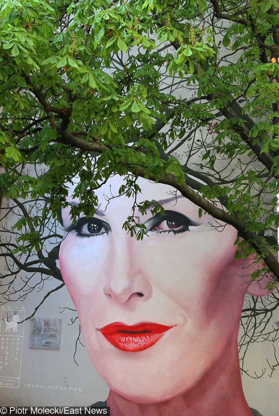 Mural Kory w zieleni