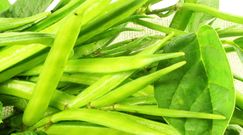 Guma guar. Pomocna w odchudzaniu