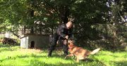 Oddaj psa do służby w policji