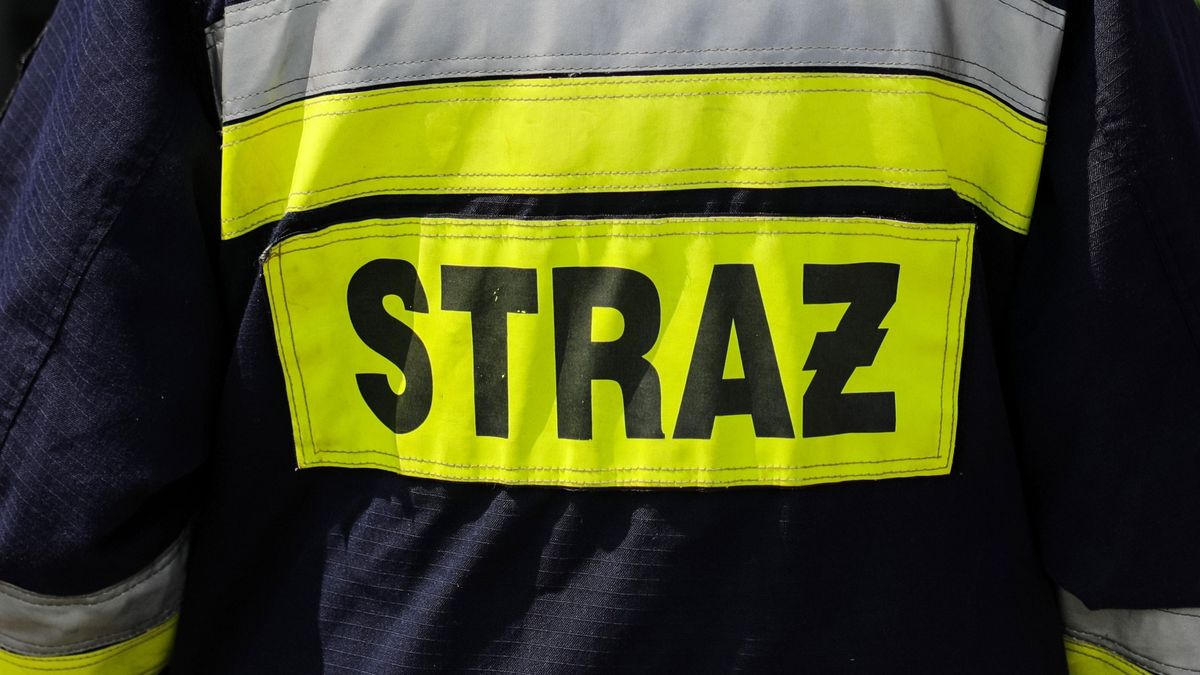 Koledzy podpalali śmietniki dla zakładu (zdjęcie ilustracyjne)