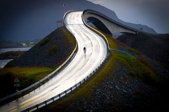 Piotr Trybalski nagrodzony w konkursie Travel Photographer of the Year 2014 22