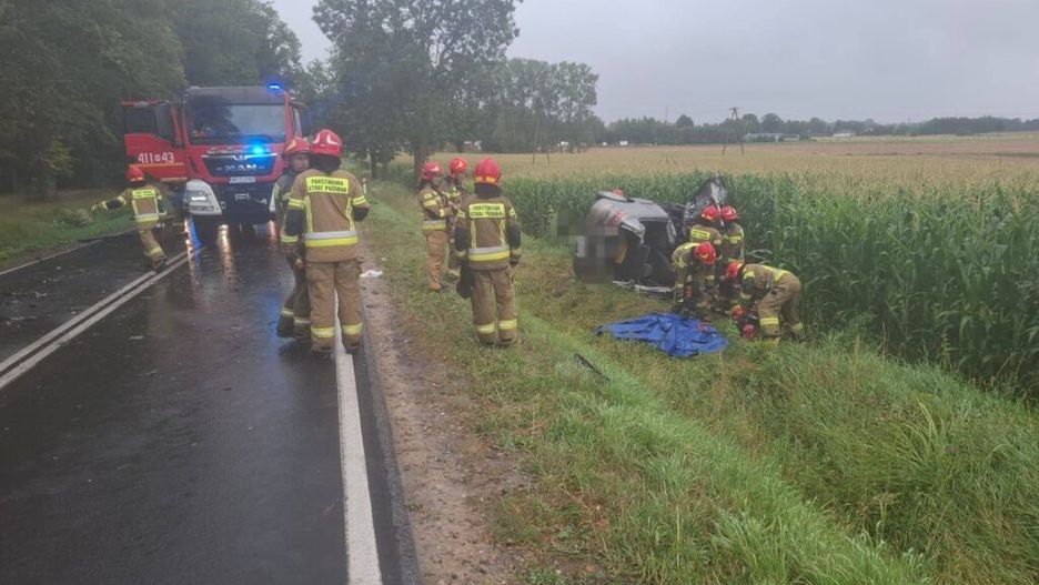 Grupa strażaków w mundurach pracuje przy przewróconym pojeździe na drodze, obok pola kukurydzy w deszczowej pogodzie.