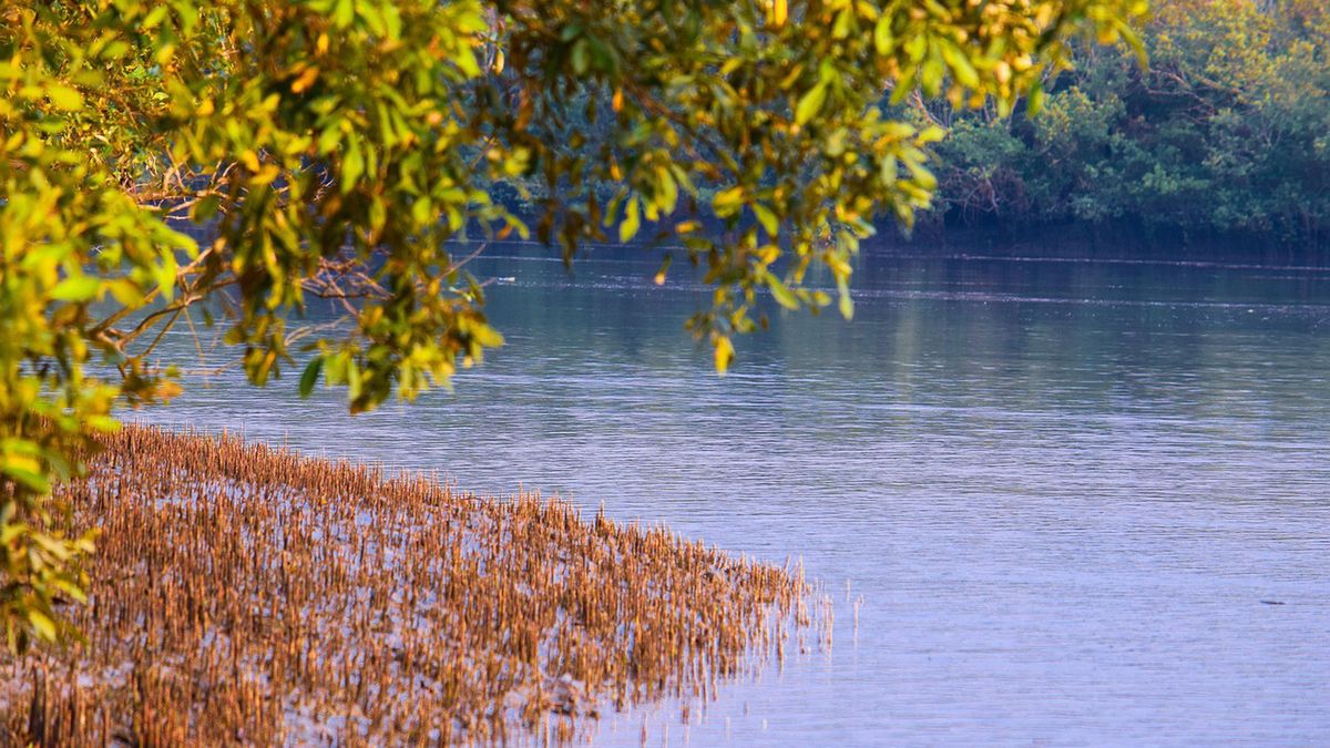 Nowe rezerwaty powstaną na Dolnym Śląśku.