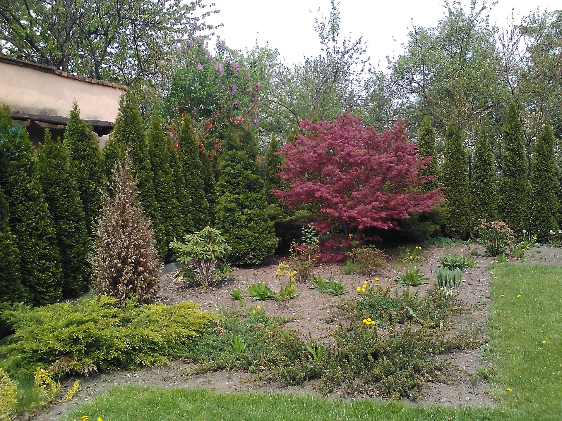 GoClever Quantum 450 LTE. Miłe złego początki w smartfonie za 400 złotych 5