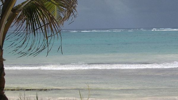 Diani to chętnie odwiedzany przez turystów kurort leżący nad Oceanem Indyjskim