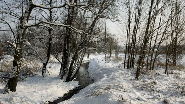 Mróz jest w całej Polsce