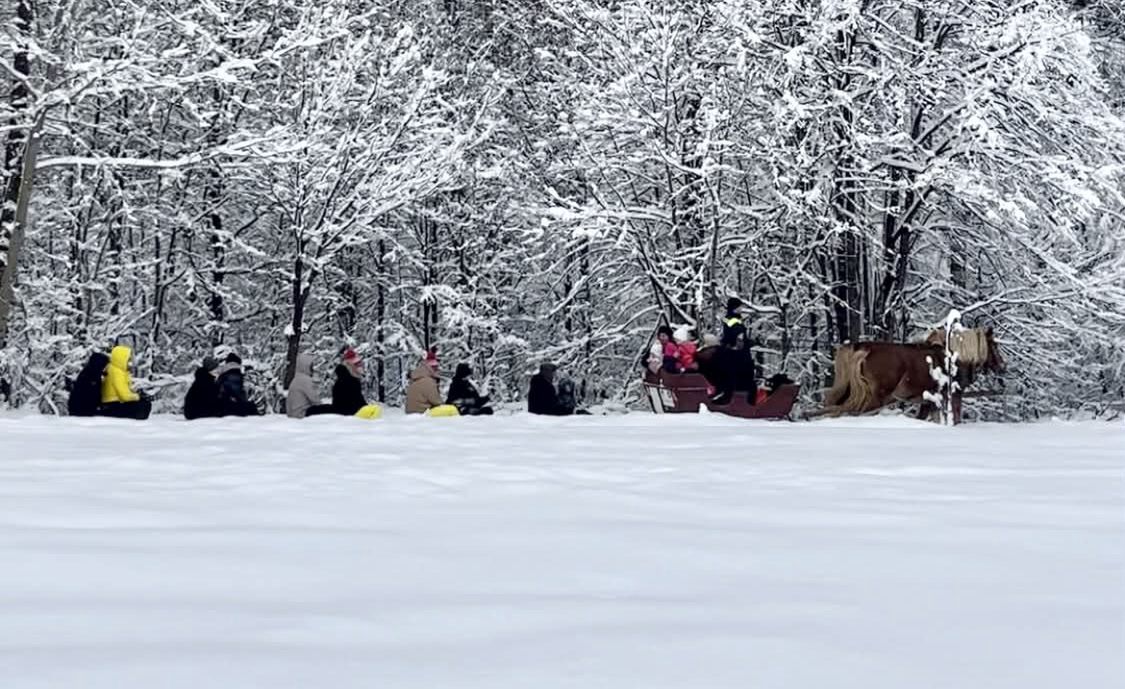 Kuligi na Kaszubach odbywają się w okolicy Wieżycy