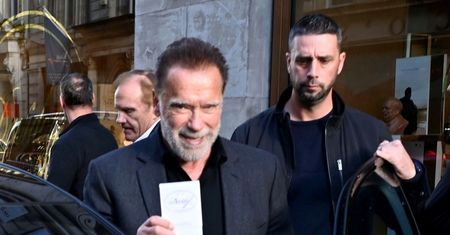 Schwarzenegger zatrzymany na lotnisku. Tysiące euro kary