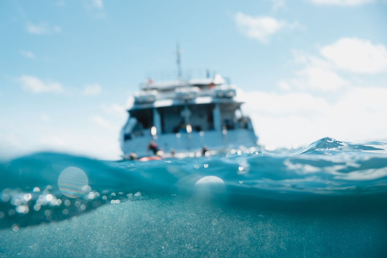 Trips around the Great Barrier Reef are very popular.