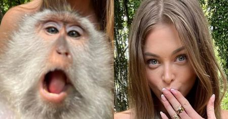Joanna Opozda pozuje na Bali z małpą, a internauci żartują: "Miło, że wspierasz byłego i go promujesz"