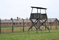 Skandaliczna aukcja zniknęła z sieci. Jest reakcja niemieckiego ambasadora