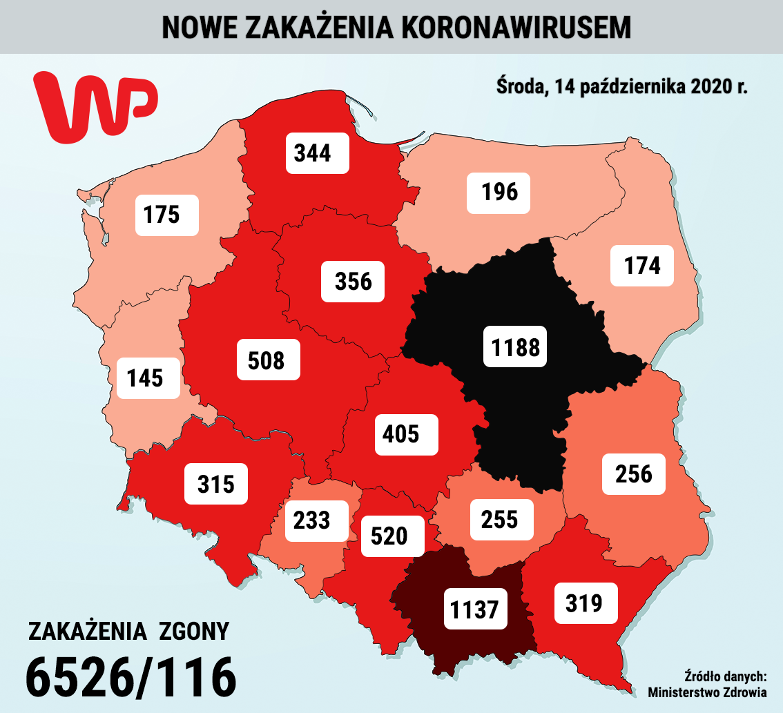 Koronawirus w Polsce. Mapa zakażeń