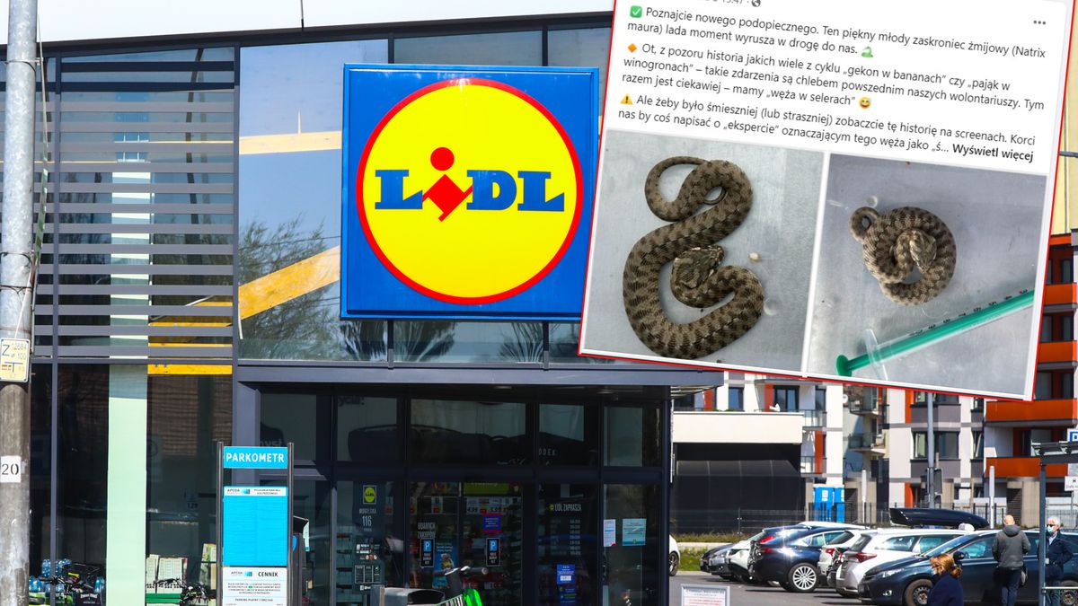Lidl odpowiada na znalezisko klientki w selerze.