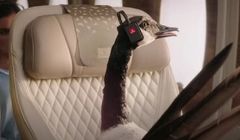 Gerry the Goose zachęca, by latać lepiej