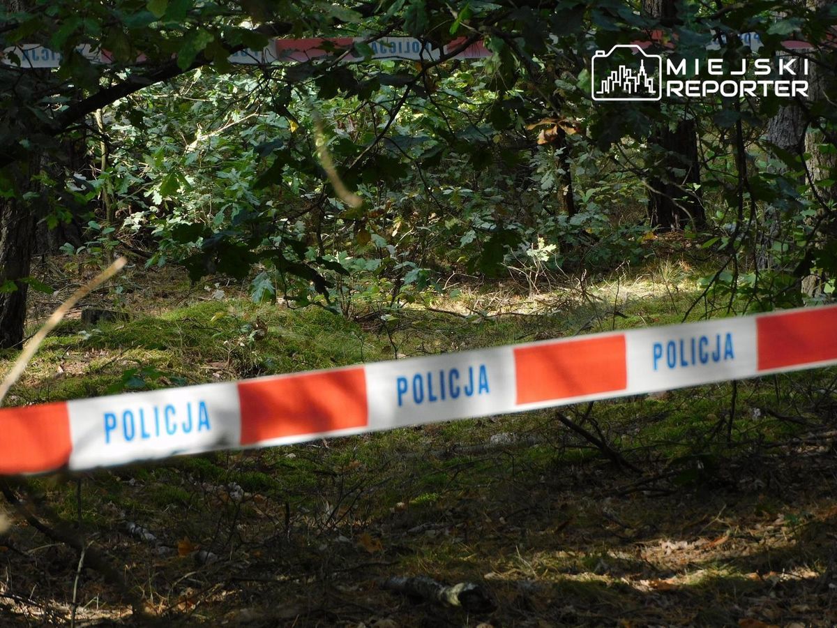 lokalne, dziecko, ojciec Ojciec poszedł z synkiem na spacer. Dziecko nagle zapadło się pod ziemię