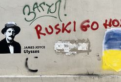 Gruzja podzielona. "Ruski go home" czy "Rosjo, przygarnij nas"