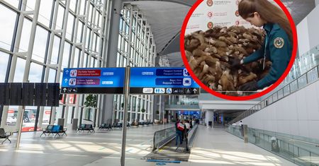 Celnicy osłupieli. Na lotnisku w Turcji otworzyli walizki z Moskwy