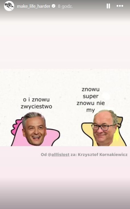 Memy po wyborach do Parlamentu Europejskiego