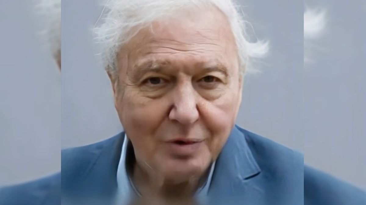 TokkingHeads to aplikacja, która zanimuje twoje zdjęcia i przeczyta wpisany tekst 1