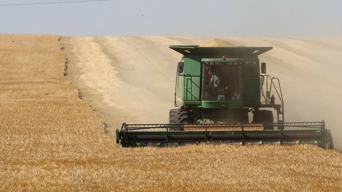 Astronomiczne stawki za dzierżawę działek rolnych na Ukrainie