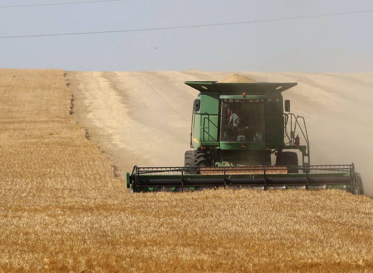 Ukraine's farm lease rates soar past Netherlands levels