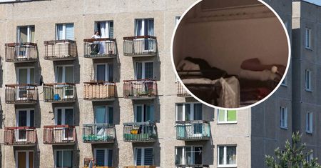 Zażądał 2 tys. zł za wynajem. "WC nie było nawet podłączone do ścieków"