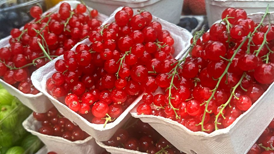 Porzeczki – owoc, który działa jak naturalny lek na zmęczenie