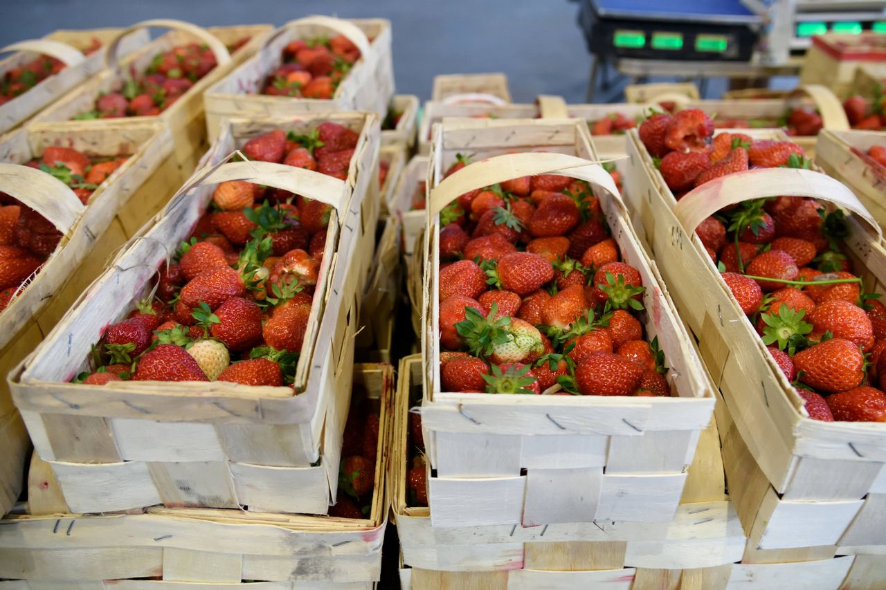 Ceny truskawek w 2021 roku są szokujące. Kilogram tych owoców może słono kosztować