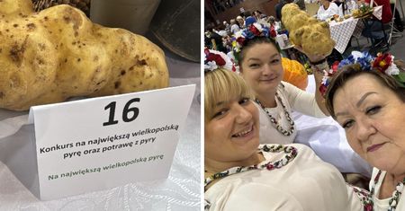 "Największa wielkopolska pyra". Waga tego ziemniaka sprawia, że ludzie łapią się za głowy