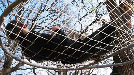 Domek, gniazdo czy hamak? 1