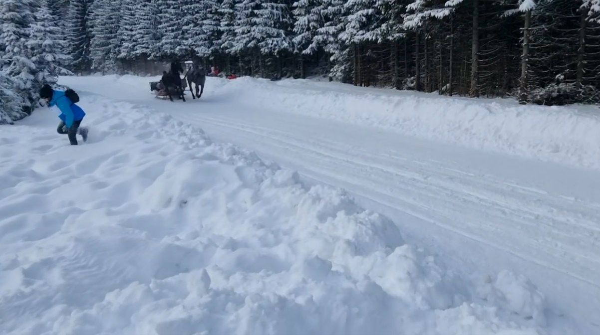 Spłoszone konie na drodze do Morskiego Oka 
