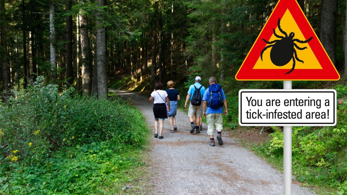 Protokół Buhnera to alternatywna metoda leczenia boreliozy oraz chorób odkleszczowych