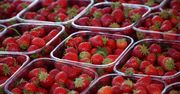 Zbadali truskawki na targu. Wyniki nie pozostawiają złudzeń