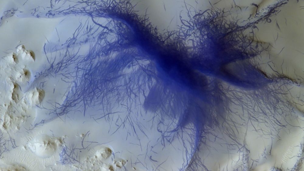 "Pająk" na powierzchni Marsa. Naukowcy badają nietypowe zjawisko 1