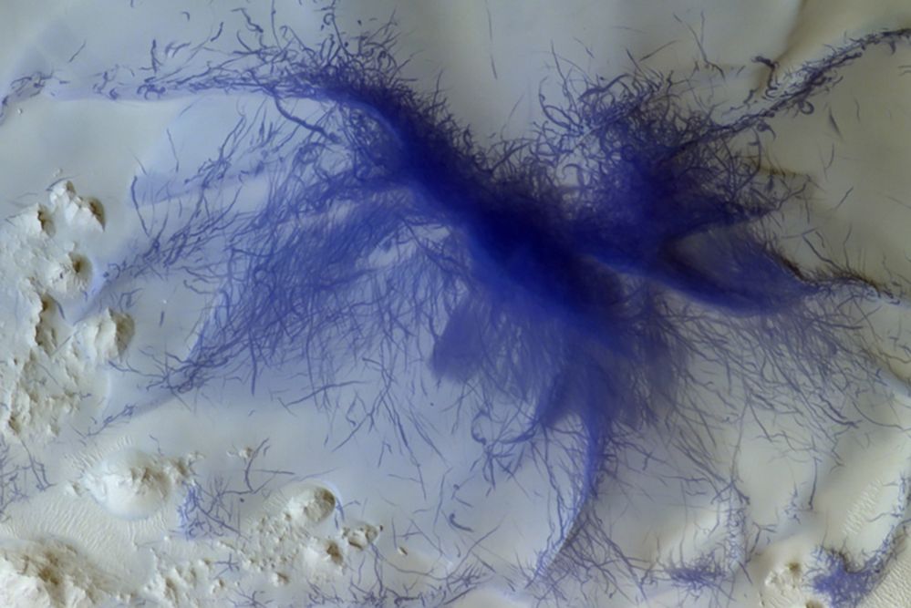 "Pająk" na powierzchni Marsa. Naukowcy badają nietypowe zjawisko